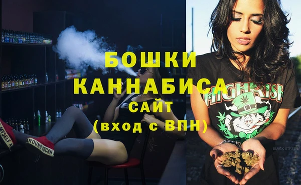 шишки Вяземский